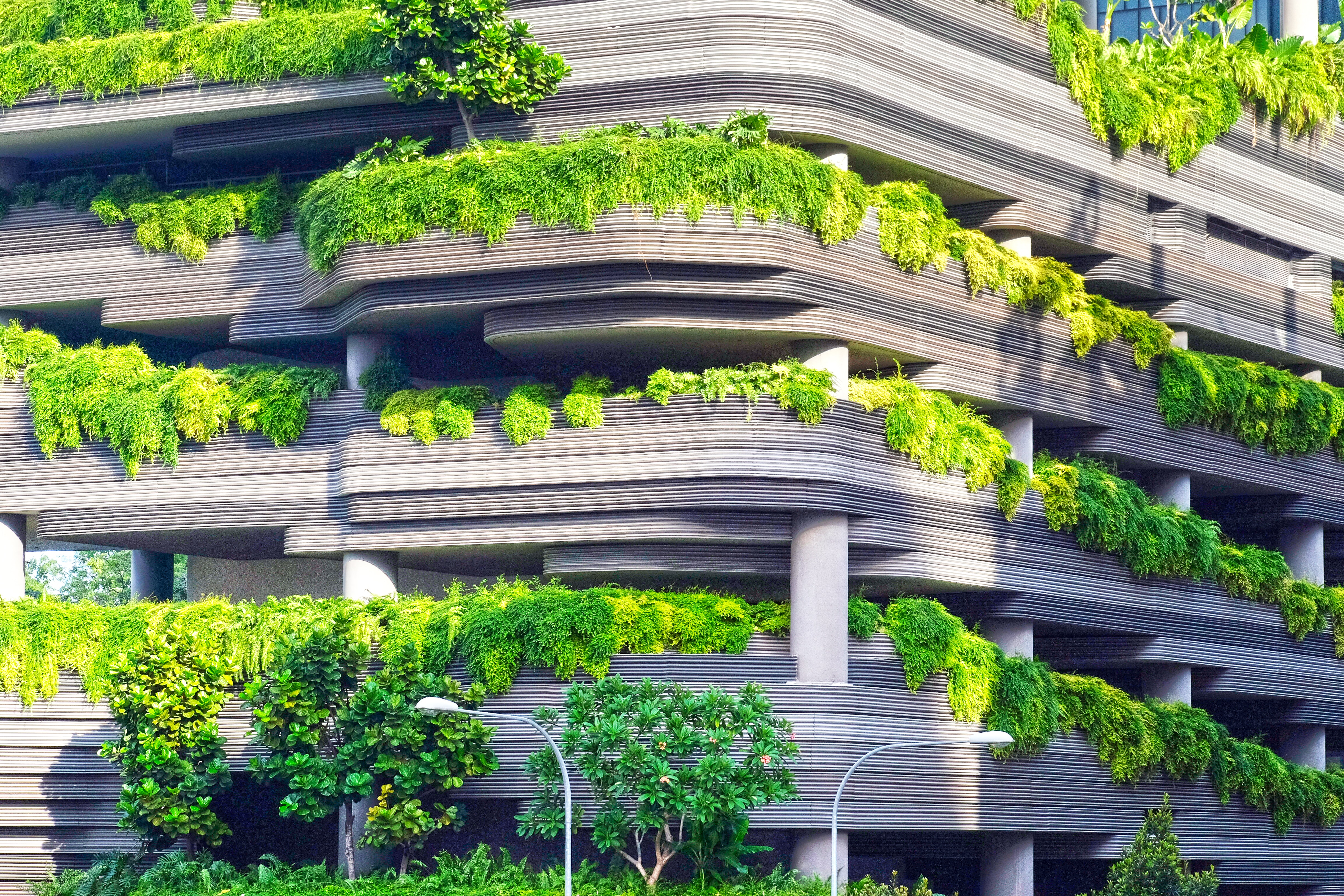 Végétalisation urbaine : le nouveau défi des architectes